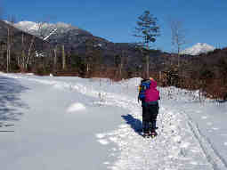 Adirondack Snowshoe, X-C Ski, Winter Hiking Trips